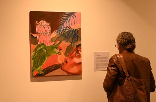 DSC 6536